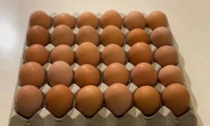 非转基因散养鸡蛋700g 周六