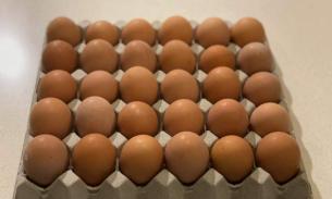 周五非转基因散养鸡蛋700克首团