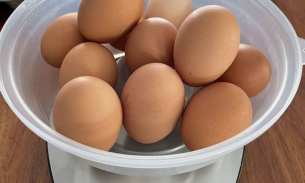 oversize 大号蛋，农场直供800克鸡蛋，特价开团！下周一自取或者派送