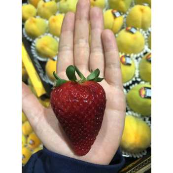 11.15周二取维州本地稀有顶级大草莓 400g 一盒只有9颗哦 