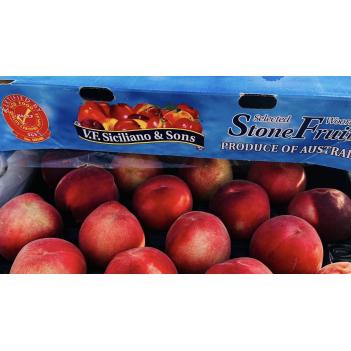 周六31/12取货出口级礼盒澳洲白桃+澳洲最好吃的潘桃