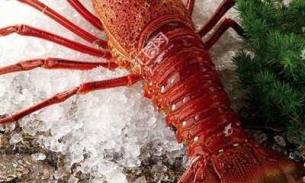 西澳龙虾🦞·汤圆·生鲜.2月11日中午12点截单.2月15日晚自取