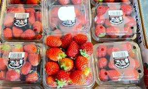 今天的现货有：本地小草莓🍓，糖心苹果，特级番石榴和本地龙眼