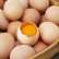 🍃 墨尔本Joann家少量大粒700g有机鸡蛋 12个/盒