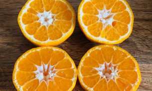 砂糖橘🍊 澳洲本地顶级出口品质🥇 周五