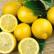 梅尔柠檬 “Meyer Lemon”25Lt种植袋