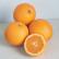 华盛顿脐橙“Washington Navel”35Lt种植袋