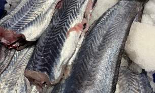 🔥新鲜的蓝鳕鱼周5（4.7）🉑️取货