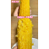 黄糯玉米棒