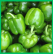 Green Pepper 1-1.2Kg