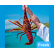 Fresh Western Australian Lobster 1 Piece