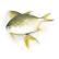 印尼速冻金鲳鱼（2条合计500-600g每袋已清理）