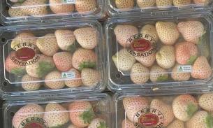8月29日周2⃣️澳洲产日本白草莓