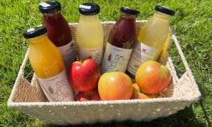 塔斯馬尼島Lucaston Park Orchards 冷壓新鮮果汁