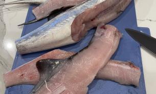 💯💯周五周六29/3、30/3到货 超级新鲜好吃的澳洲小鲨鱼（去头去皮去内脏）已处理好的，肉多刺少，非常好吃