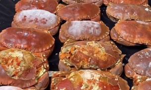 周六（4.27）🦀️🦀️低至$27.5/kg苏格兰面包蟹满满的都是膏