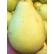 两粒 本地沙田柚子，0.8公斤左右/粒， 按公斤称重计价， $10.99/公斤