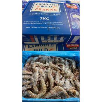 【星期三5月1号】取货～澳洲野生红虎虾（规格：21-30）