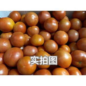 农场直供西红柿🍅（小号）$3.99/kg 2kg起拍富含微量元素Vs番茄红素 周五