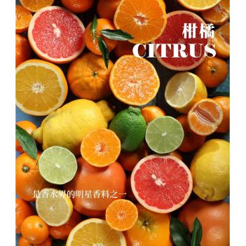 柑橘类水果🍊【5月8号到货】