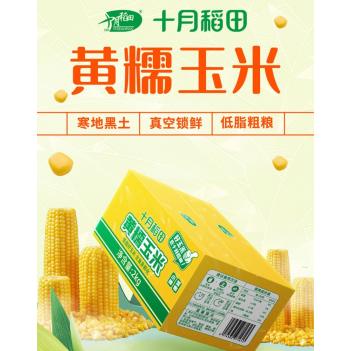 「水果小玉米」十月稻田，手掌大小中国最好的品牌