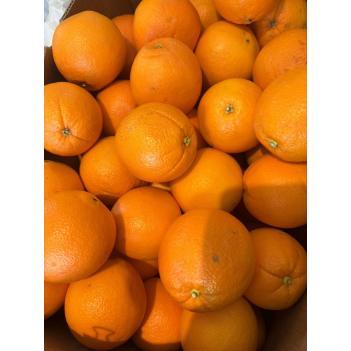 闪团美国🇺🇸加利福尼亚甜橙子🍊，全网最低💰2.99/kg，明天下午到