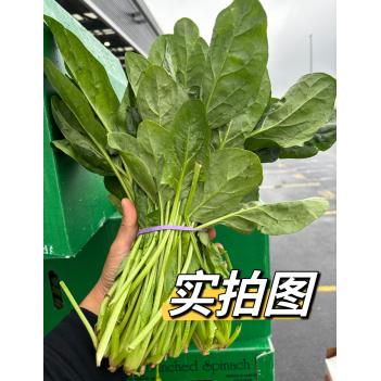 菠菜🥬蔬菜之王👑特价🉐5.11周六取货